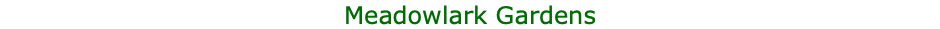 Meadowlark Gardens